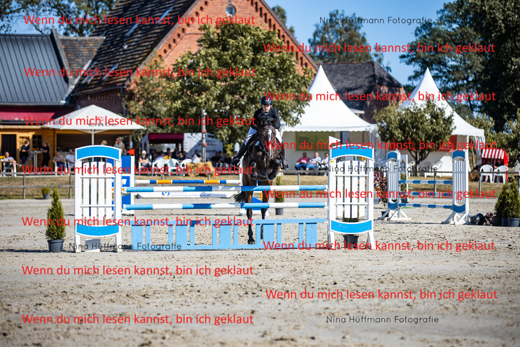 BK1A5788 | Turnierbilder Turnierfotos Nina Hüffmann Turnierfotografie Pferdefotografie Tierzeichnung Haustierzeichnung Pferdezeichnung Hundezeichnung Videograf  - Realisiert mit Pictrs.com