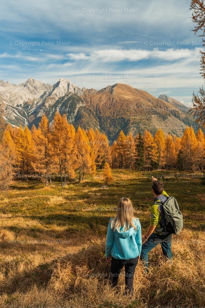 Samalm_Herbst_Lesachtal_2022-549 | piet_flosse