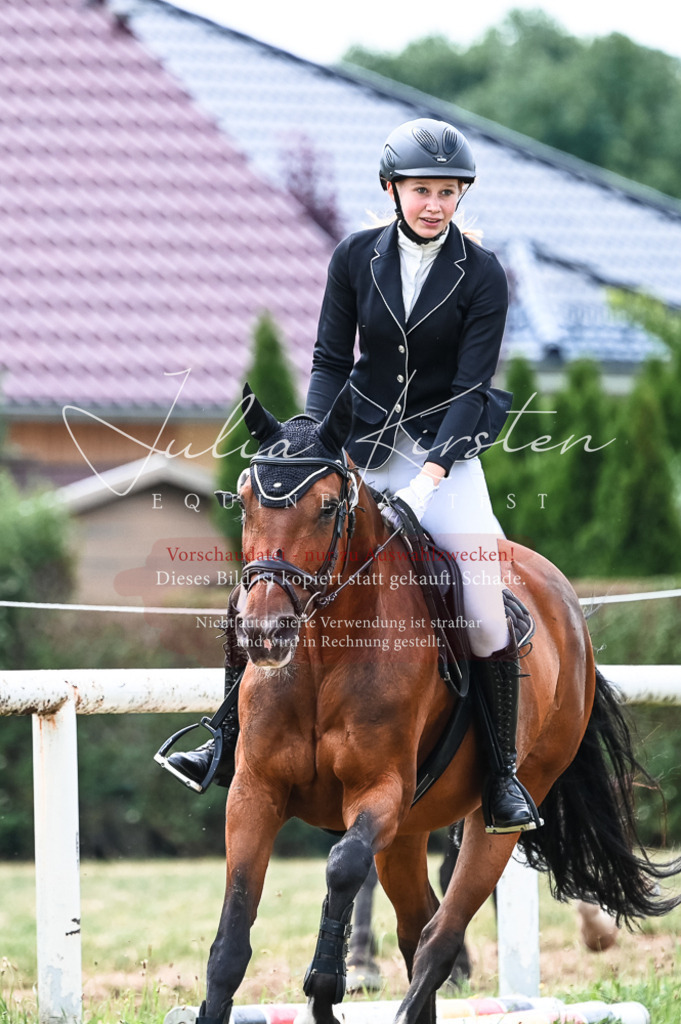 DSC_9028 | Pferde- und Turnierfotografie in Westsachsen. Pferdeportraits, Auftragszeichnungen und intuitive Kunst.