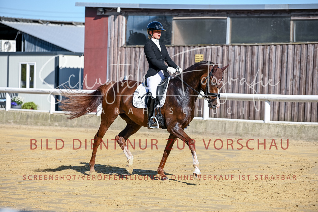 Schugtsche-Aluta25-51.Dressurpferdeprf.M-28 | Schugtsche Fotografie - Realisiert mit Pictrs.com