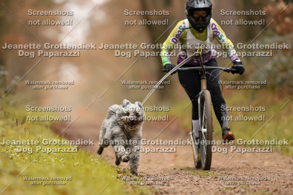 Dog Paparazzi - Speedhunter Mannheim  2025-443 | Dog Paparazzi Jeanette Grottendiek Fotografie & Videografie