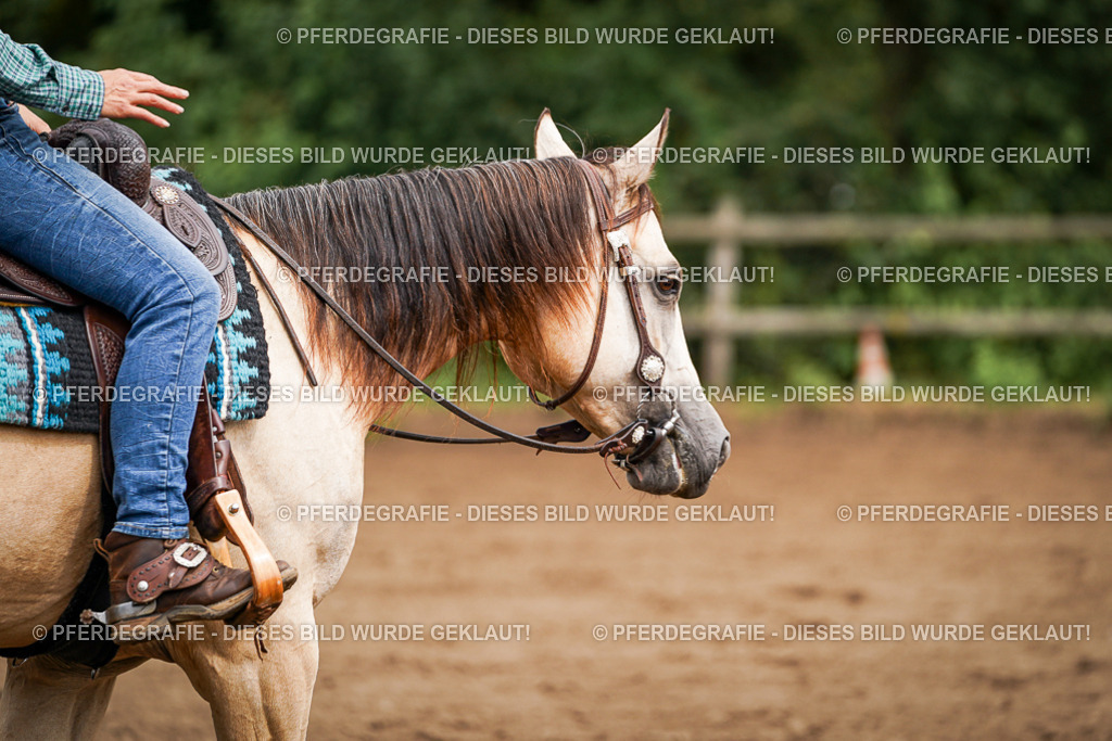 DSC06295 | Pferdegrafie