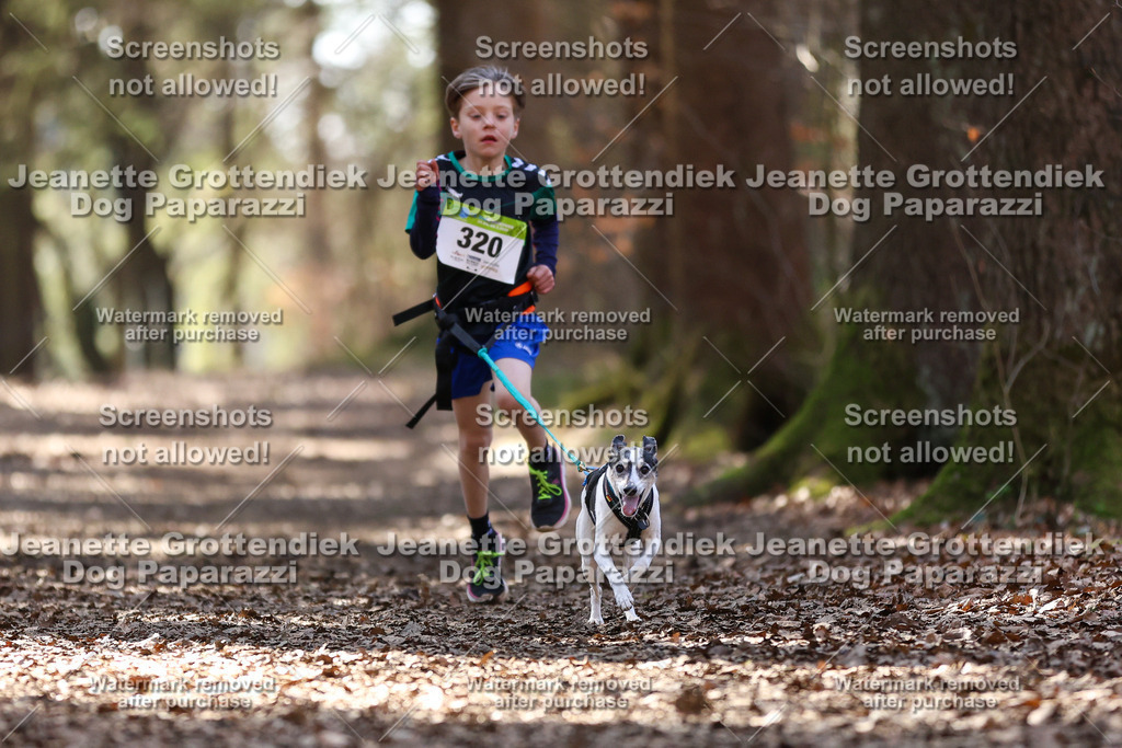 Dog Paparazzi - VCC26-1448 | Dog Paparazzi Jeanette Grottendiek Fotografie & Videografie - Realisiert mit Pictrs.com
