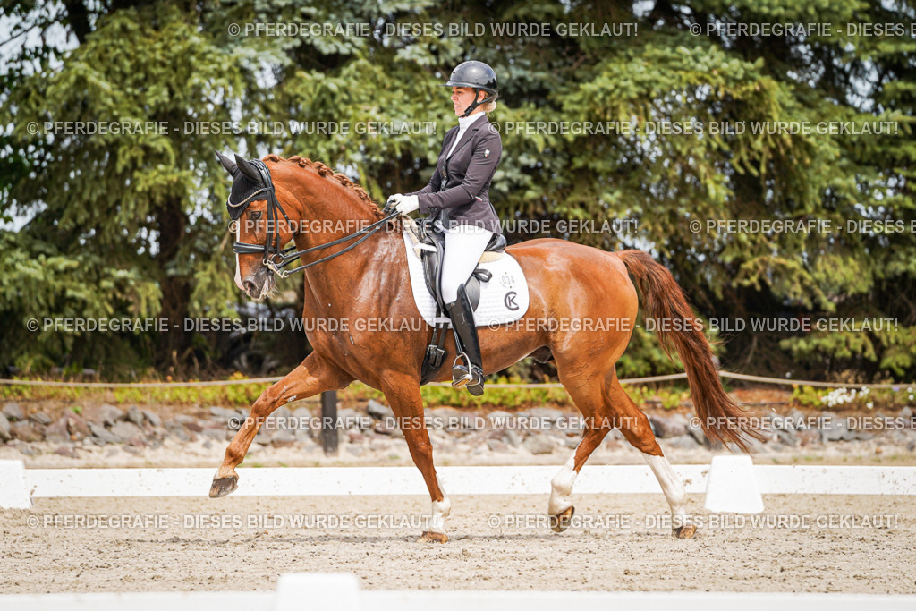 DSC05317 | Pferdegrafie