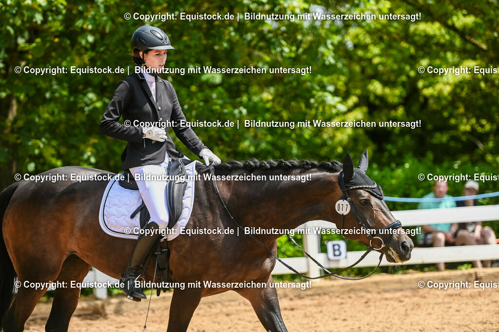20230716_03_Dressurprfg. Kl.L - Tr._0592 | equistock