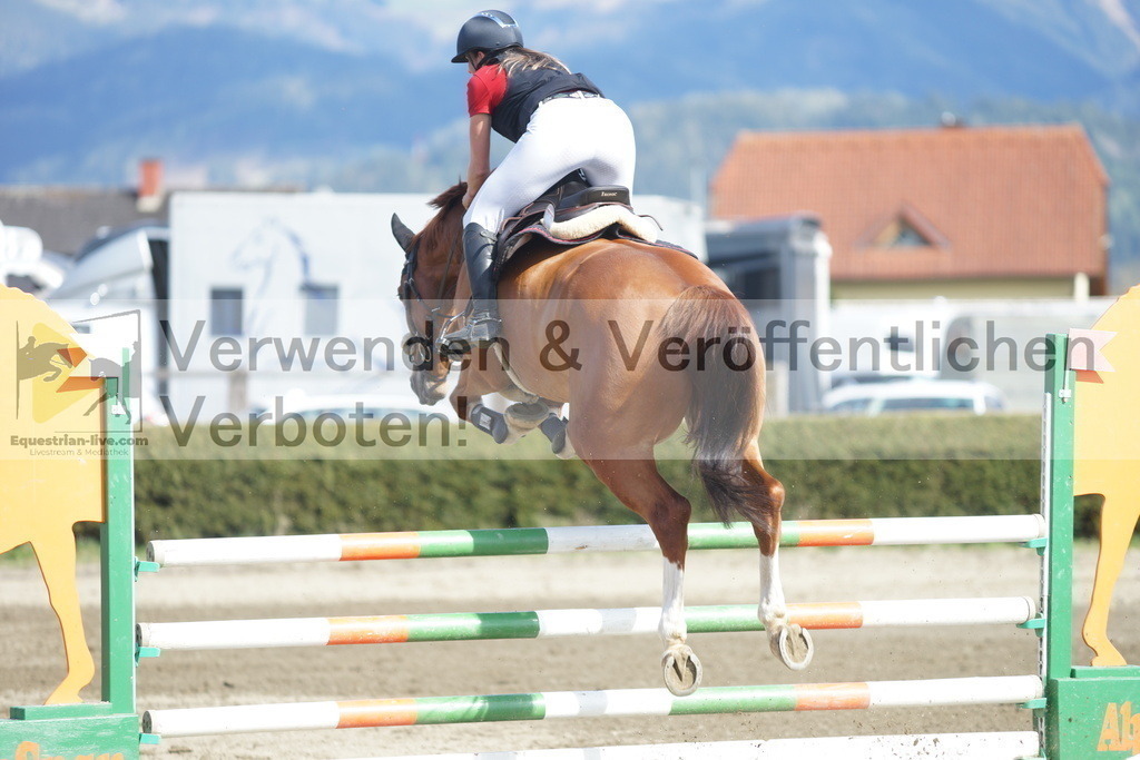 DSC03255 | equestrian-live-com