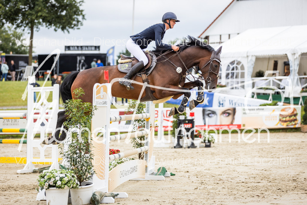 BHO-2PhSpr-M-5-2350 | MomenTaufnahmen Pferdesportfotos