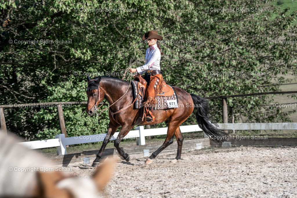 HOB09734 | BS-foto