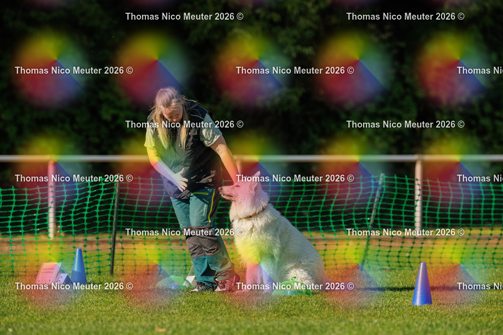 Thomas_Nico_Meuter(C)_04. Oktober 2026_223A4145 | Bild von Thomas Nico Meuter - Realisiert mit Pictrs.com