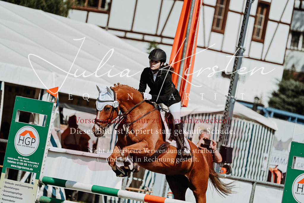 DSC_9595 | Pferde- und Turnierfotografie in Westsachsen. Pferdeportraits, Auftragszeichnungen und intuitive Kunst.