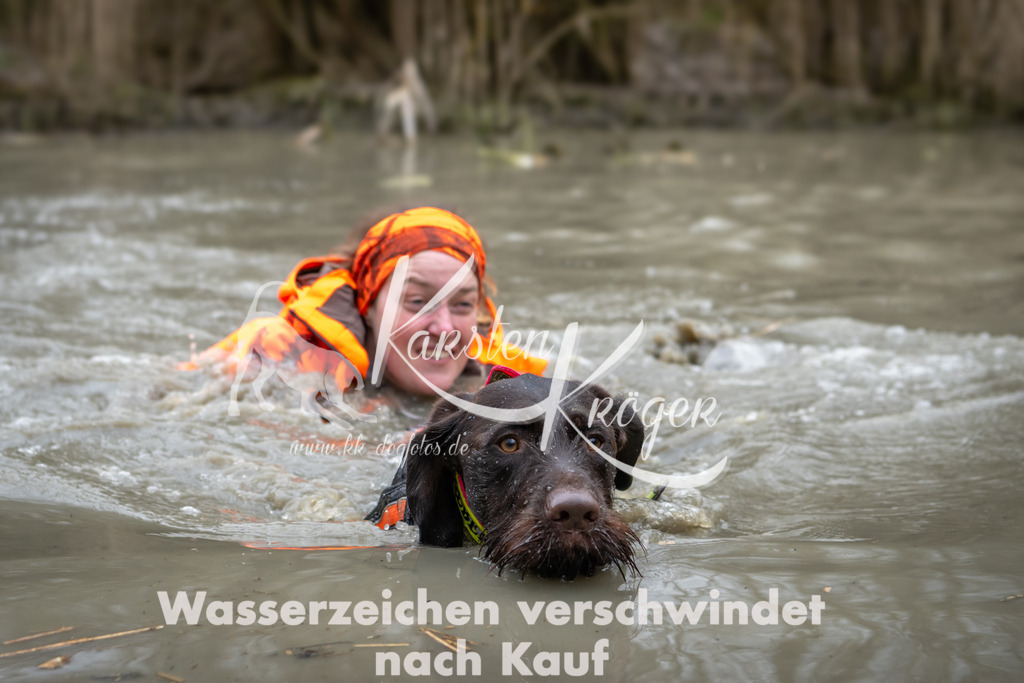 1415_ZZ97623 | kk-dogfotos