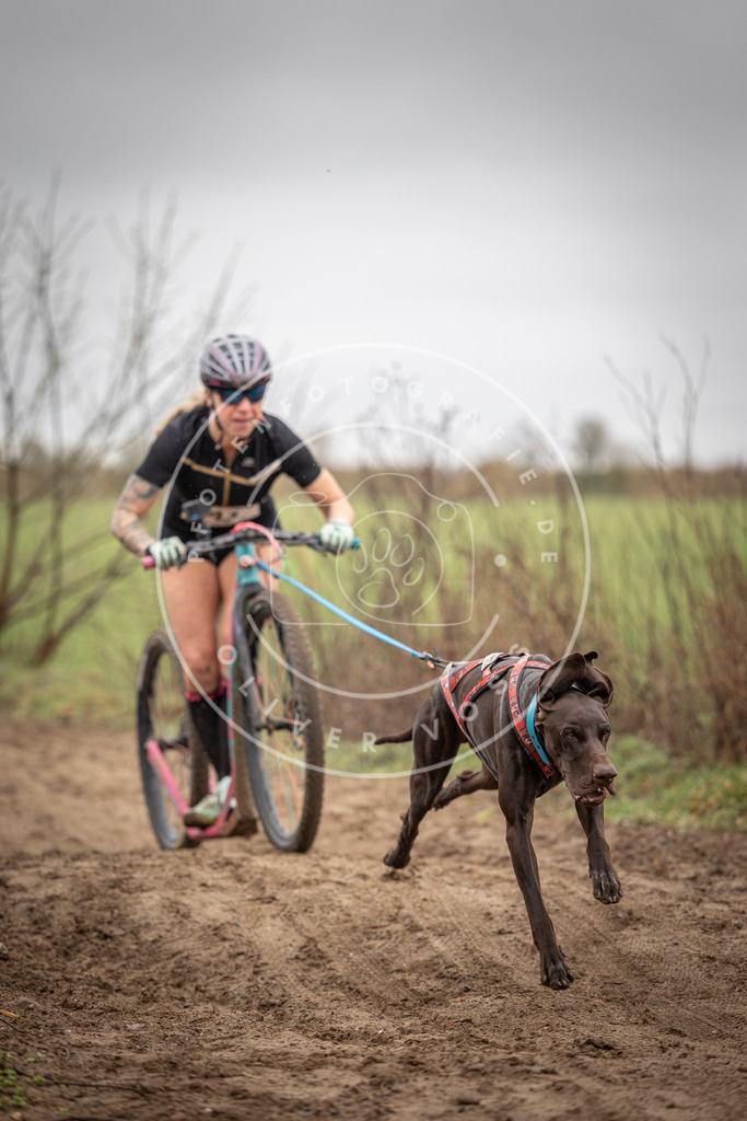 DV3A9171 | Hundefotografie, Tierfotograf, Pfotenfotografie, Fotoshooting Hund, Hunde Portrait, Hundesport, Hundeportraits, Heideshooting, Hunde, Sportfotograf, Hundefotograf, Turnierhundsport, THS,  - Realisiert mit Pictrs.com