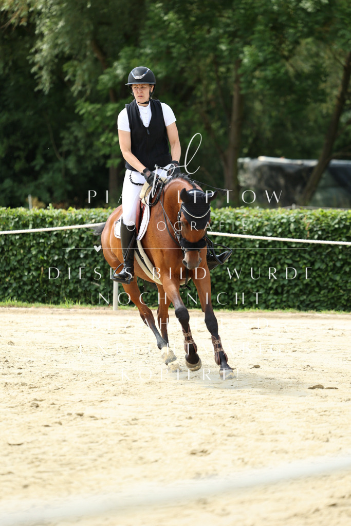 IMGM4830 | pl-fotografie