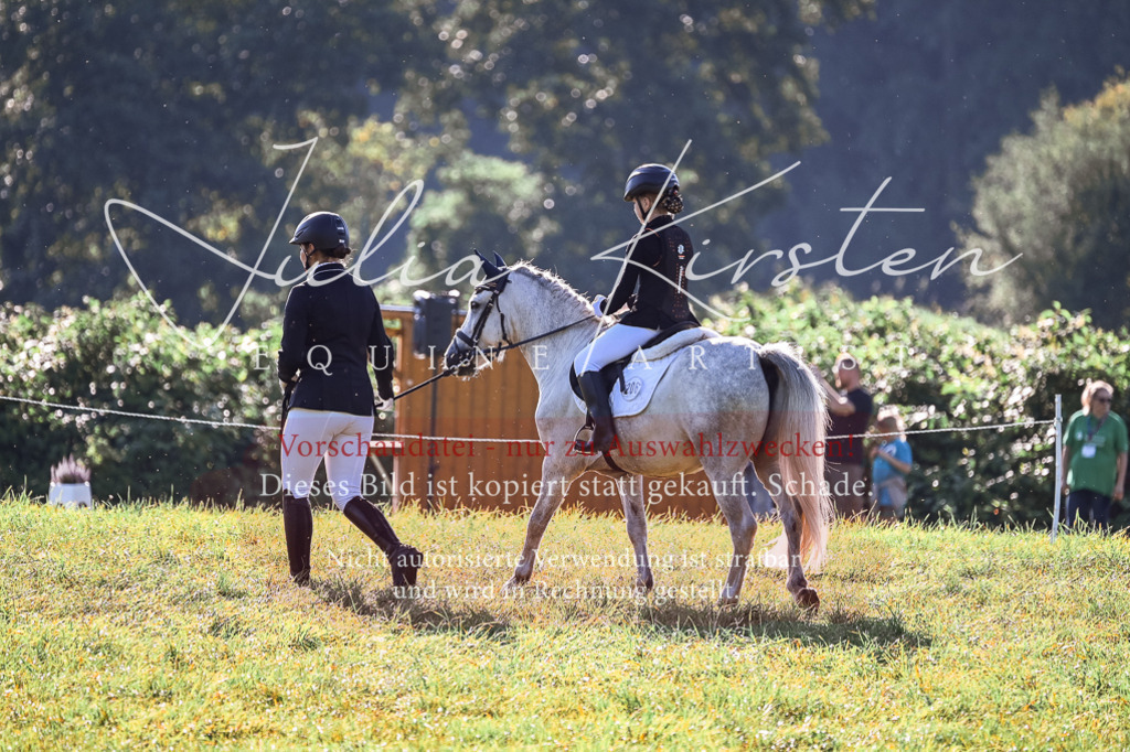 DSC_0426 | Pferde- und Turnierfotografie in Westsachsen. Pferdeportraits, Auftragszeichnungen und intuitive Kunst.
