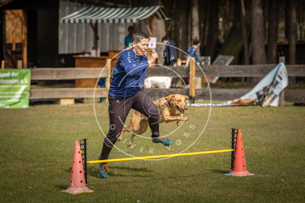 Pfotenfotografie_DV3A9274 | Hundefotografie, Tierfotograf, Pfotenfotografie, Fotoshooting Hund, Hunde Portrait, Hundesport, Hundeportraits, Heideshooting, Hunde, Sportfotograf, Hundefotograf, Turnierhundsport, THS,  - Realisiert mit Pictrs.com