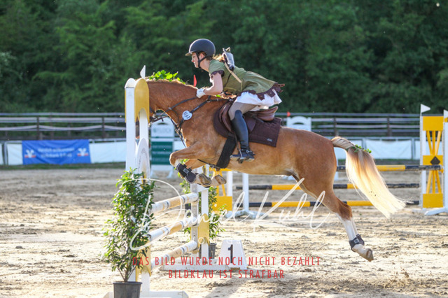 DKP45235 | Turnierfotos kaufen im Webshop von Daniel Kuhl Photography – entdecke professionelle Reitsportfotos aus Turnieren & Events. Hochwertige Turnierbilder online bestellen & sichern. Jetzt Fotos von Reitsportturnieren kaufen!