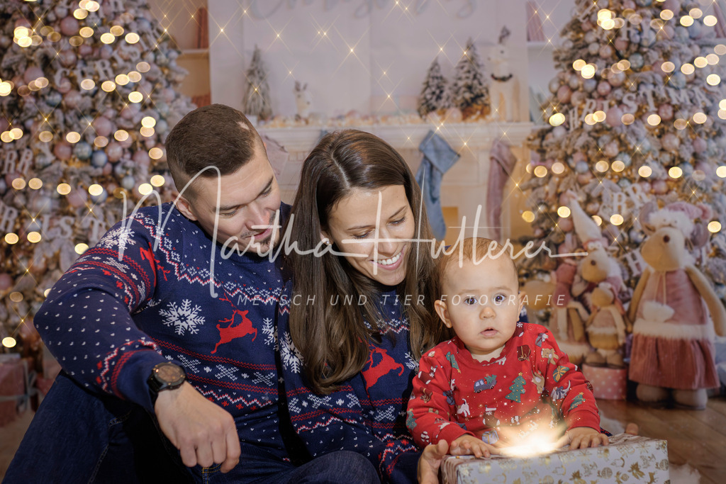 Weihnachts Minis  | Emotionale Mensch und Tier Fotografin. Aus Gösing am Wagram, zwischen Tulln und Krems an der Donau. 