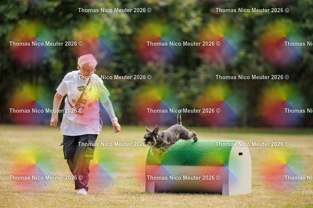 Thomas_Nico_Meuter(C)_22. August 2026_223A5210 | Bild von Thomas Nico Meuter - Realisiert mit Pictrs.com