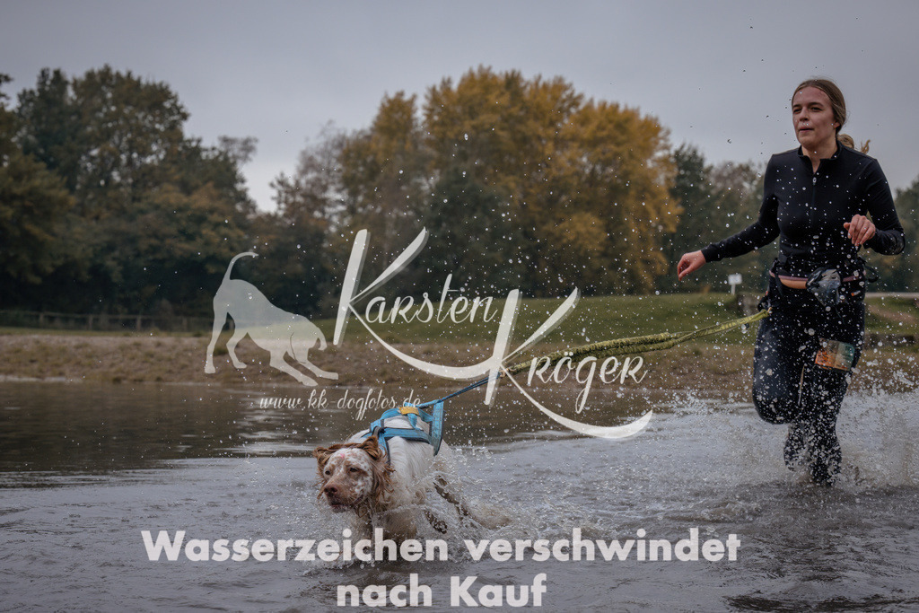 1154_ZZ97105 | kk-dogfotos
