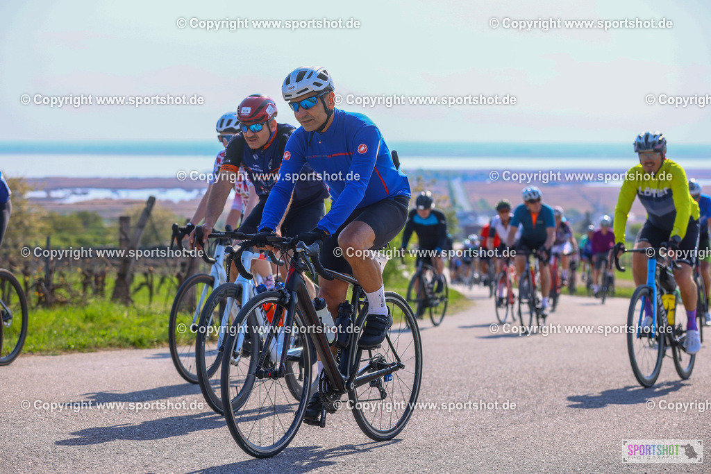 TRA_1065 | Neusiedlersee Radmarathon 2026@sportshot_your_pictrs #yourpictures#roadtowm2029 #nrm #neusiedlerseeradmarathon #neusiedlersee #neusiedlerseetourismus #burgenland #mörbisch #nrm26 #burgenlandtourismus #voglundco #poweredbyburgenlandtourismus #radsport #rad #marathon #ucigranfondo #visitburgenland #ucigranfondoworldseries
