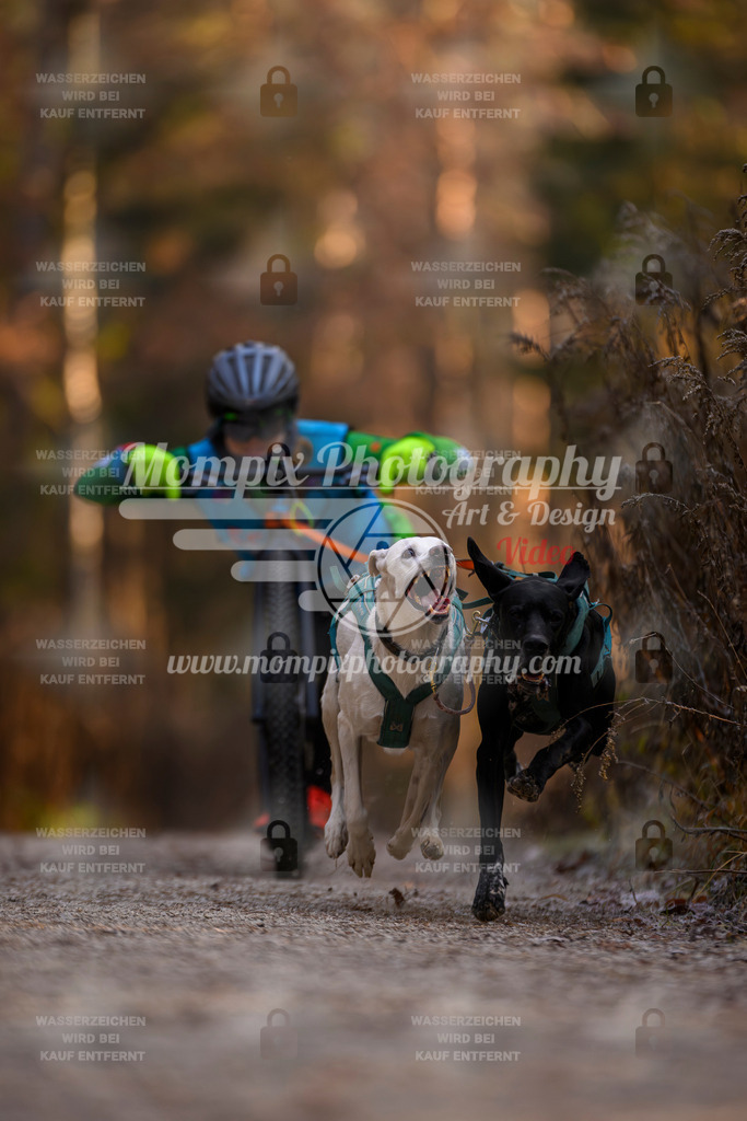 MompixPhotography_DM_AKDM_SO_2025_Scooter-21 | PayLife