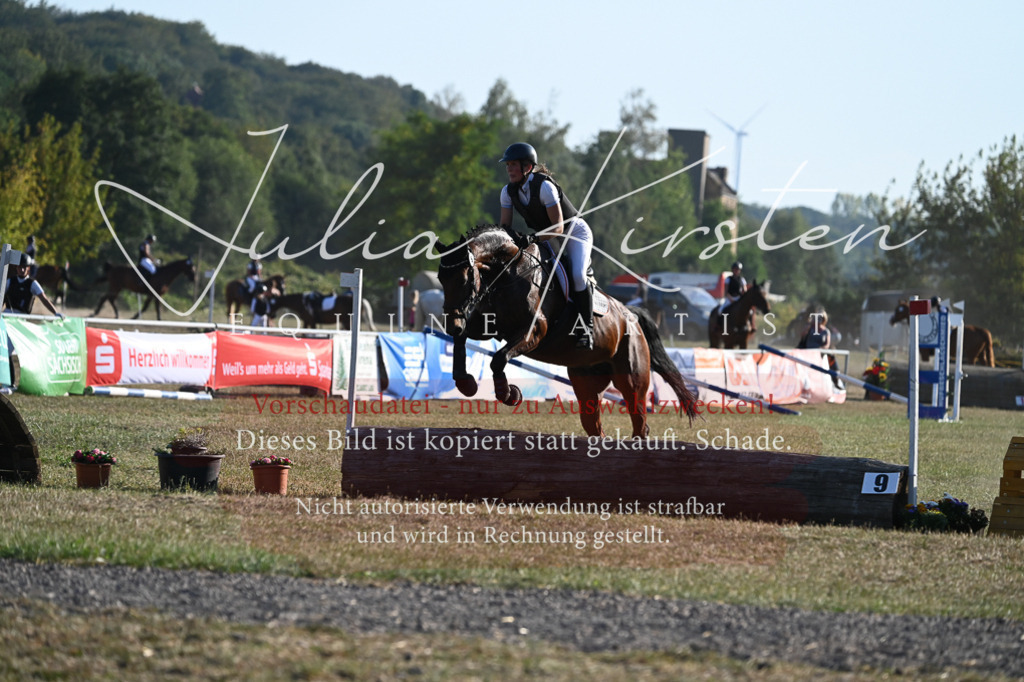 DSC_9020 | Pferde- und Turnierfotografie in Westsachsen. Pferdeportraits, Auftragszeichnungen und intuitive Kunst.