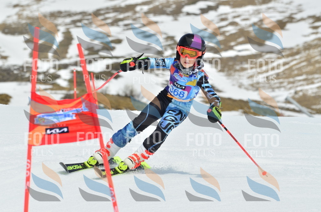 _ELE2984 | holidayphoto