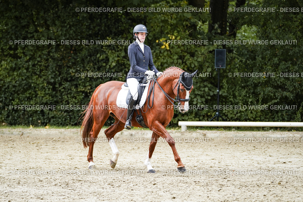 DSC00802 | Pferdegrafie