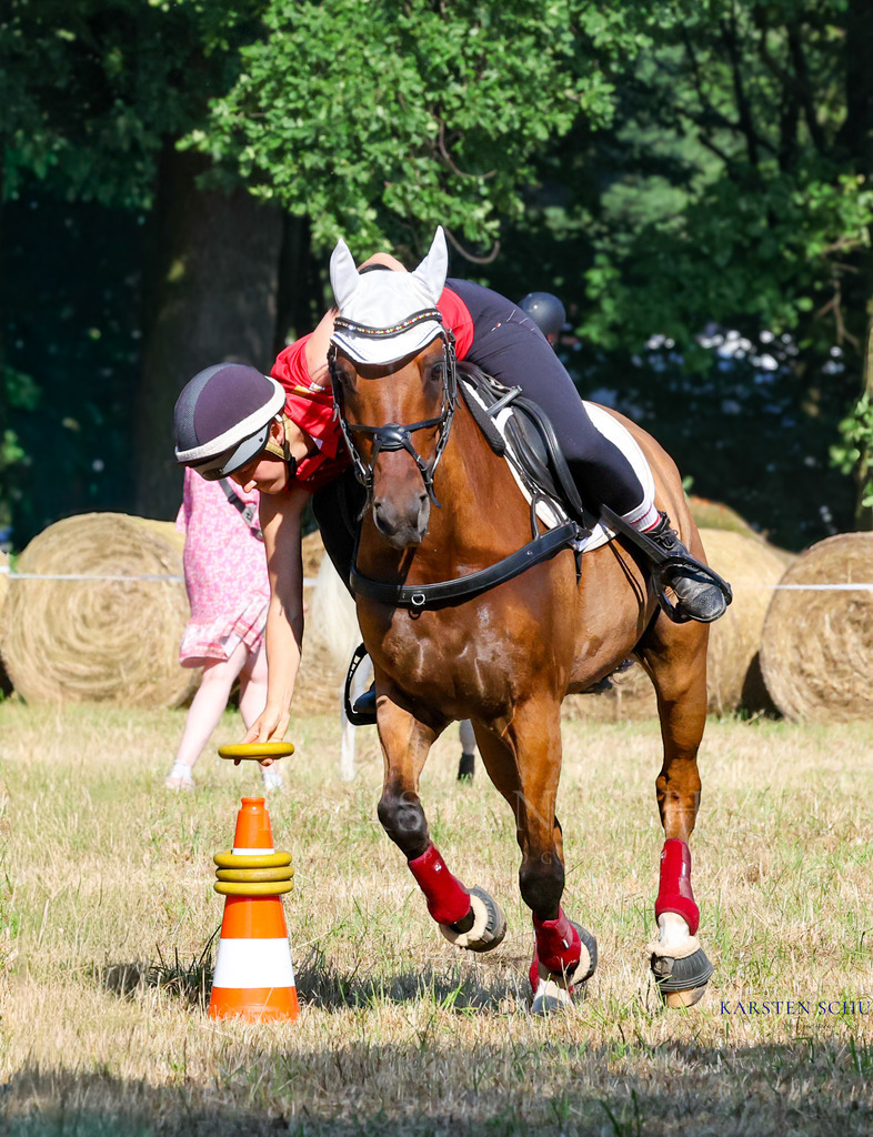 1B3A8307 | Reitsport Reiten
