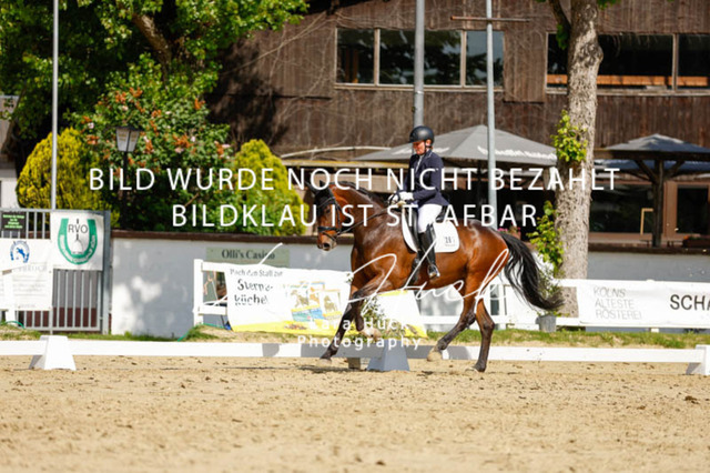 _62_2820 | larahueckfotografie