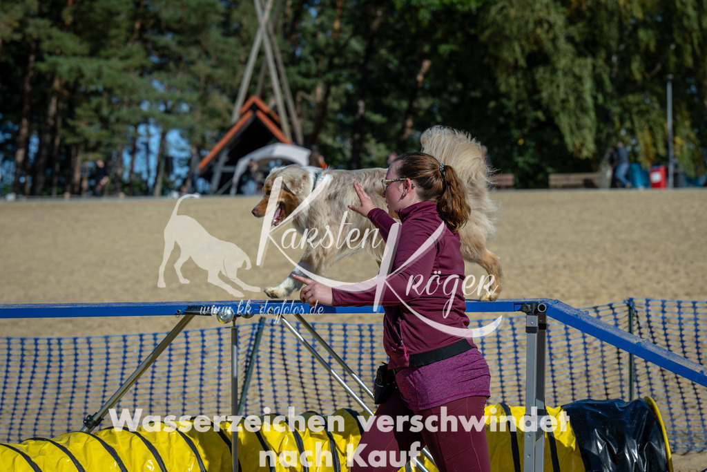 1219_ZZ92863-2 | kk-dogfotos