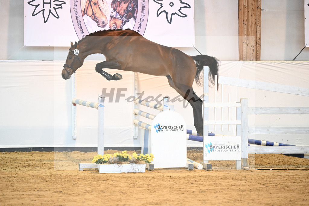 Kat-Nr. 20 v. Million Dollar_Eisenrieder_2230443 | hf-fotografie - Realisiert mit Pictrs.com