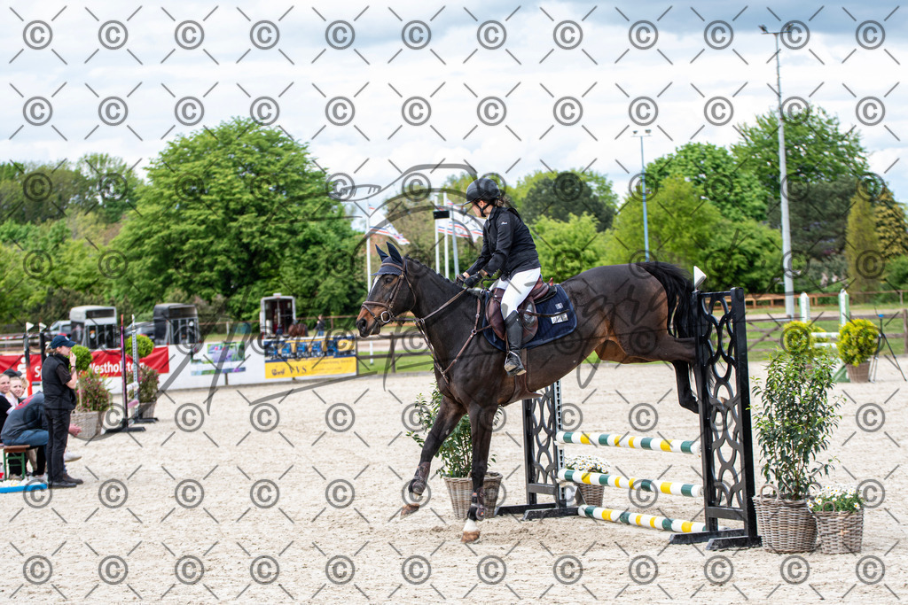 KPT_6472 | andre_photographic