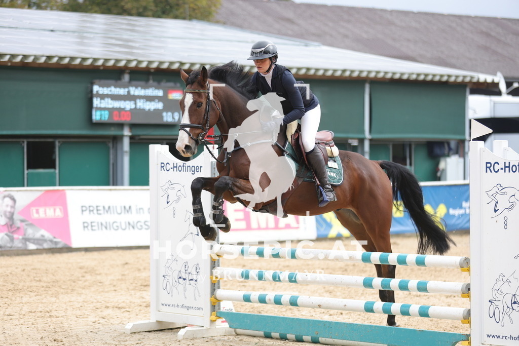 0P6A1415 | Willkommen bei Brunnmayr - Design & Fotografie – Ihrem Spezialisten für Reitturniere und Pferdeveranstaltungen in Oberösterreich, Salzburg und Bayern! Seit über 17 Jahren sind wir leidenschaftlich dabei.