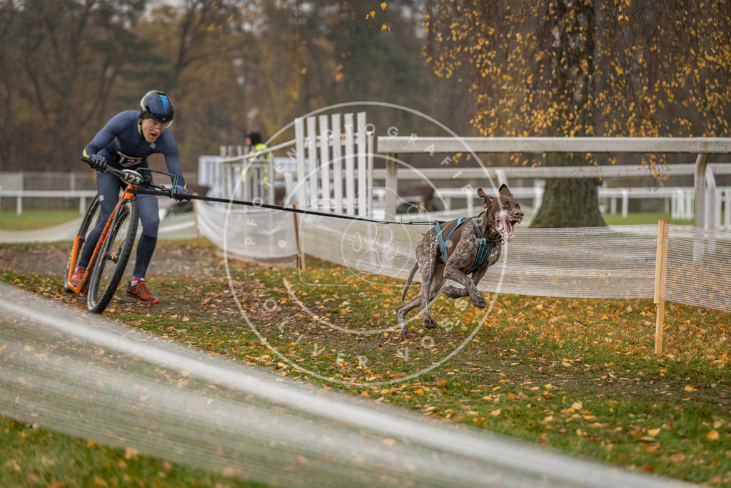 CaniXpix_DV3A7797 | Hundefotografie, Tierfotograf, Pfotenfotografie, Fotoshooting Hund, Hunde Portrait, Hundesport, Hundeportraits, Heideshooting, Hunde, Sportfotograf, Hundefotograf, Turnierhundsport, THS,  - Realisiert mit Pictrs.com