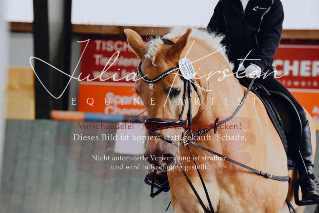 DSC_7342 | Pferde- und Turnierfotografie in Westsachsen. Pferdeportraits, Auftragszeichnungen und intuitive Kunst.