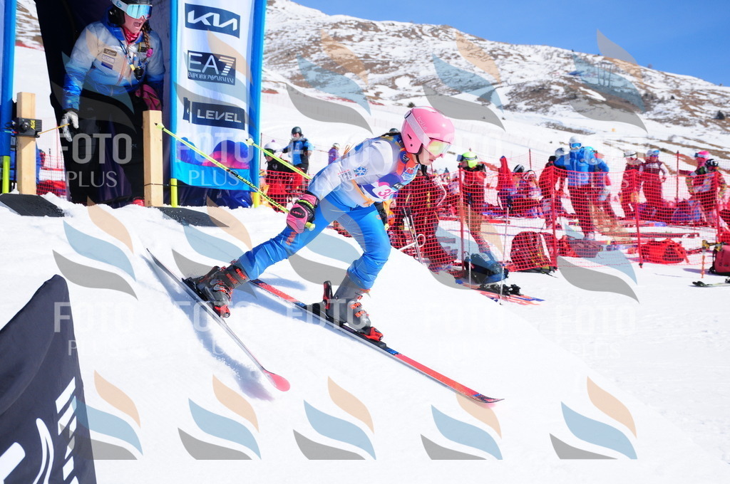 DSC_4030 | holidayphoto