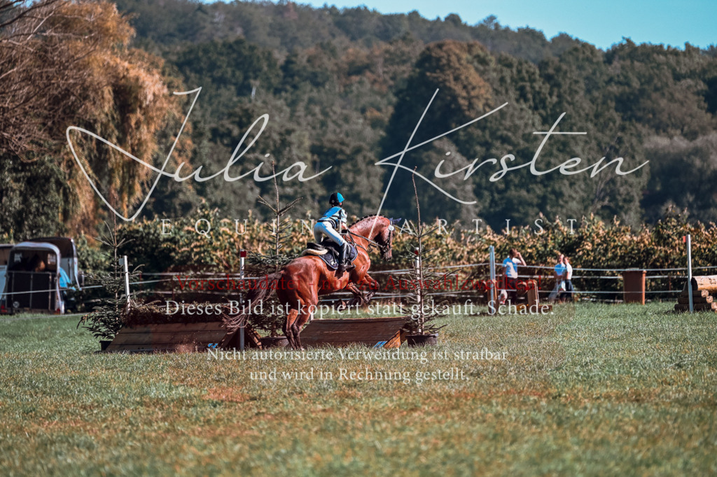 DSC_0819 | Pferde- und Turnierfotografie in Westsachsen. Pferdeportraits, Auftragszeichnungen und intuitive Kunst.