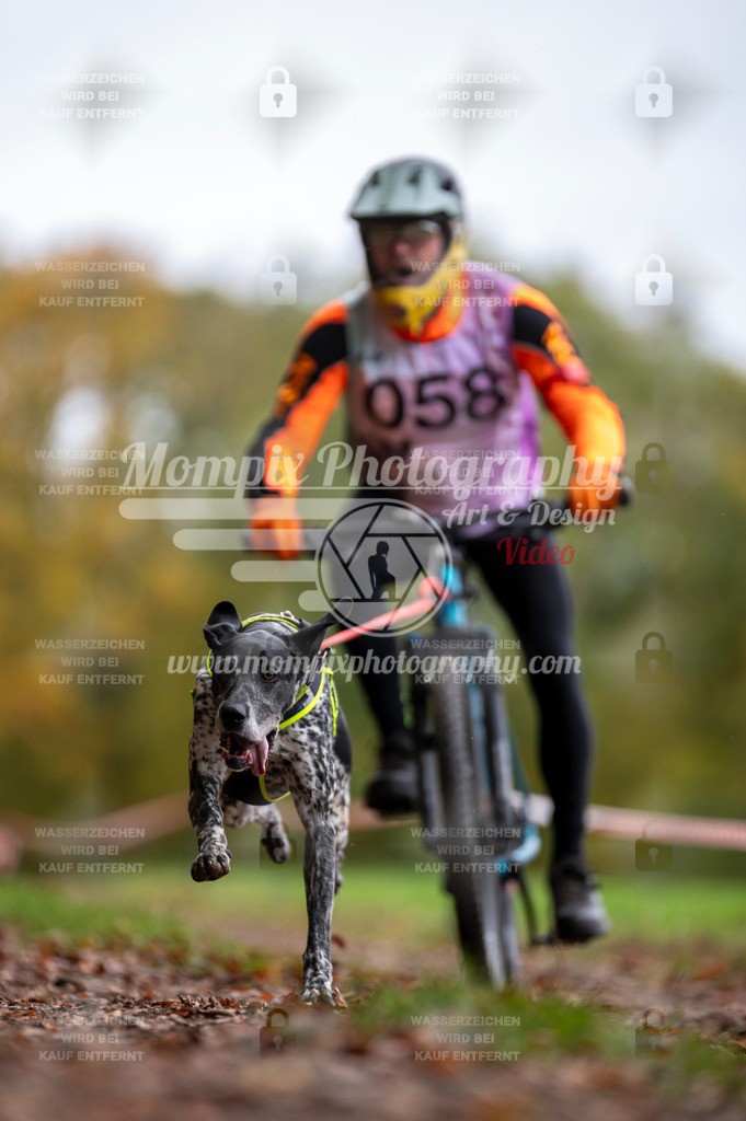 DBT_DAKM_SA_4_11_2023_Bike-79 | PayLife