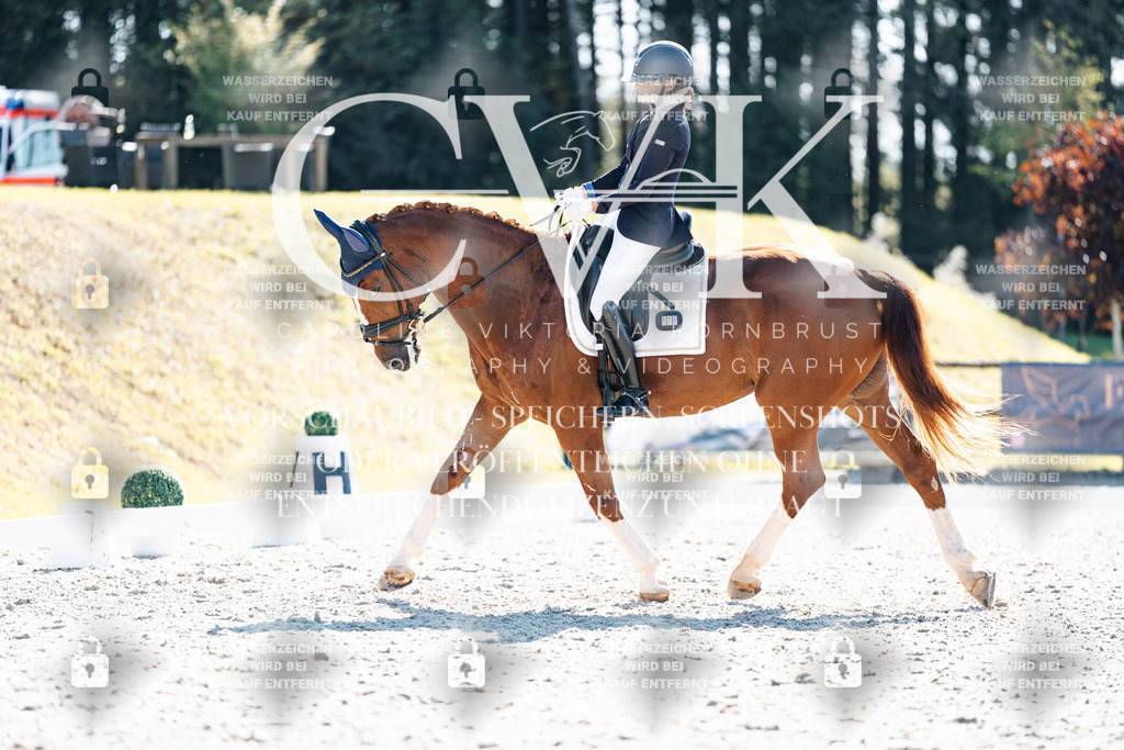 CK905477 | Turnierfotografie Pferdefotografie Trier Rheinland-Pfalz Pferdesport Reitsport Tierfotografie Sportfotografie Pferdevideo Pferdevideografie Equestrianvideography equestrianphotography  - Realisiert mit Pictrs.com