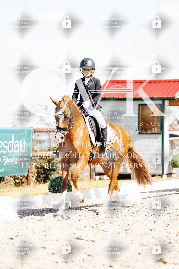 CK903090 | Turnierfotografie Pferdefotografie Trier Rheinland-Pfalz Pferdesport Reitsport Tierfotografie Sportfotografie Pferdevideo Pferdevideografie Equestrianvideography equestrianphotography  - Realisiert mit Pictrs.com