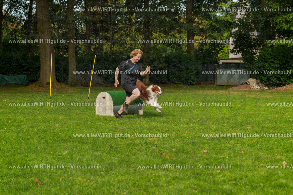 THS_Turnier_27-09-2026-allesWIRTHgut_Tierfotografie-7R507262 | Professionelle Tierfotografie in Mönchengladbach von Daniel Wirth (allesWIRTHgut). Liebevolle & natürliche Bilder von Hunden & Katzen für unvergessliche Erinnerungen.