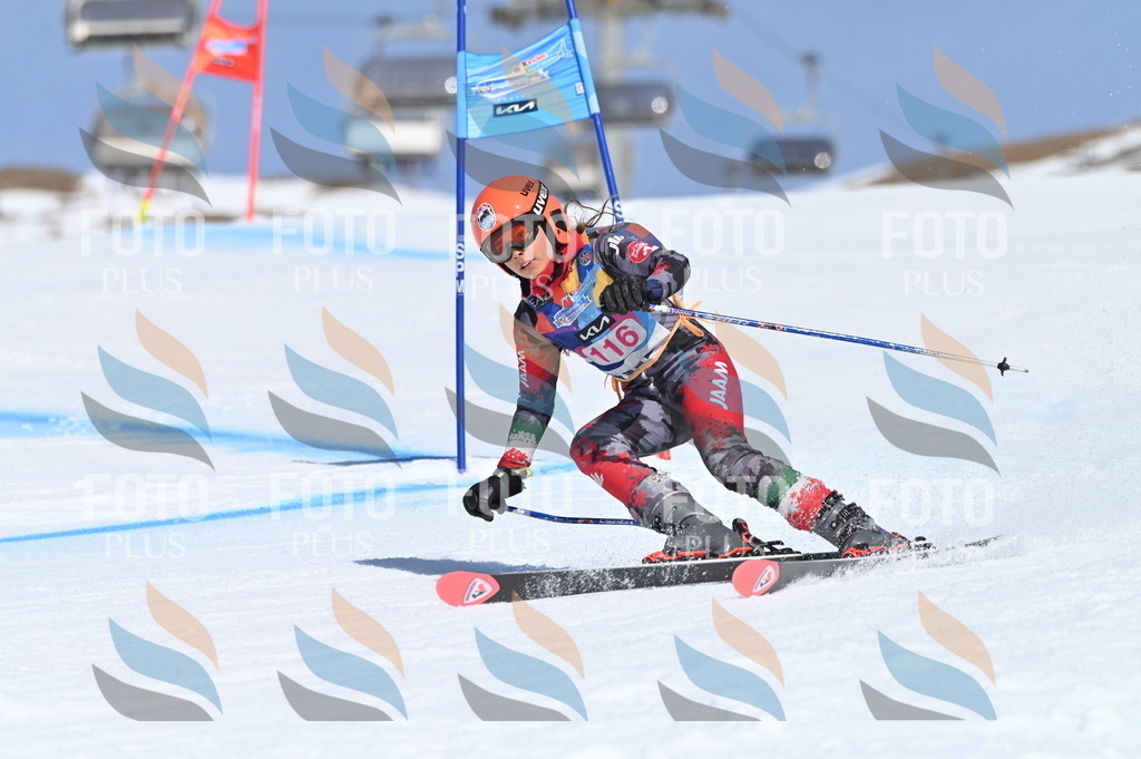 BGV_9740 | holidayphoto