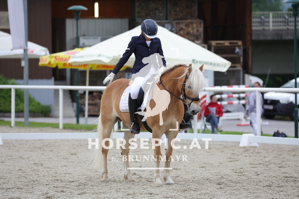 0P6A3572 | Willkommen bei Brunnmayr - Design & Fotografie – Ihrem Spezialisten für Reitturniere und Pferdeveranstaltungen in Oberösterreich, Salzburg und Bayern! Seit über 17 Jahren sind wir leidenschaftlich dabei.