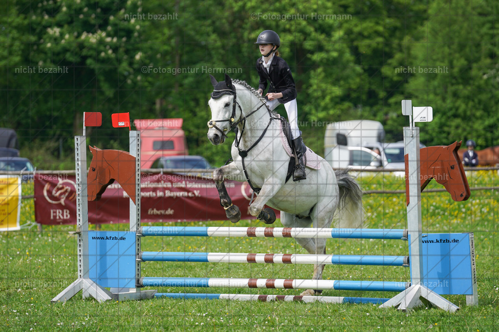 20240509-FAH02715 | Turnierbilder der Turnierfotografen Bayern, Pferdesport Fotografie, Reitsportbilder, Turnier Landberg am Lech, Turnierbilder bayern, Fotoagentur Herrmann
