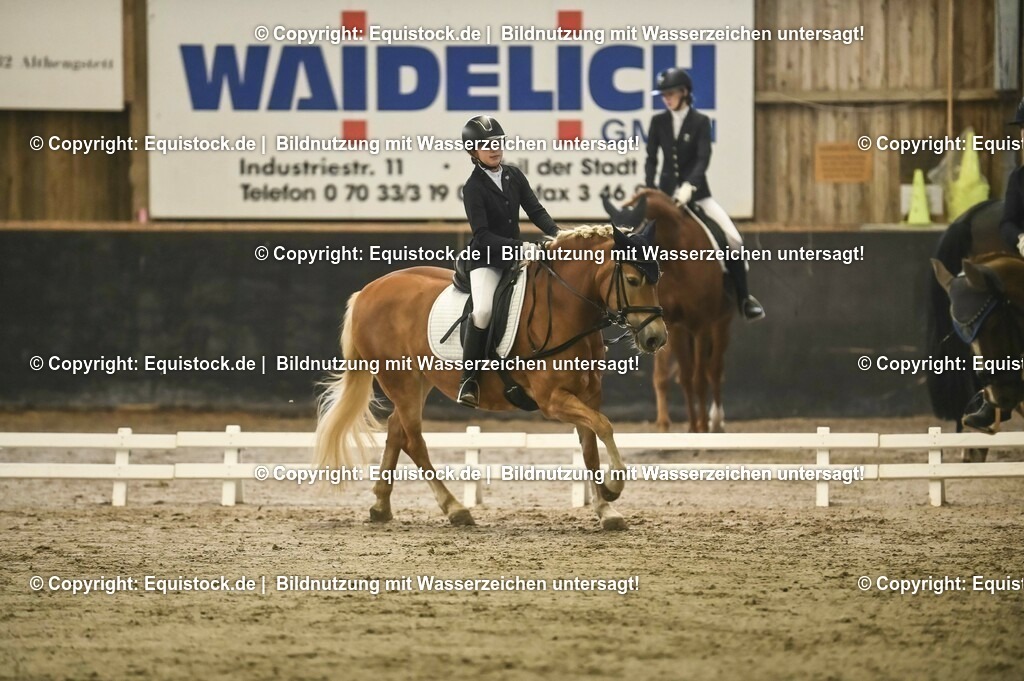 20231029_04_Dressur-WB_0059 | Foto: Thomas Hartig