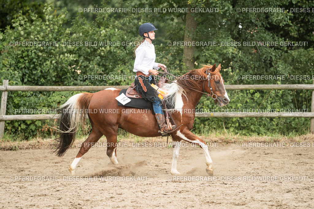 DSC04096 | Pferdegrafie