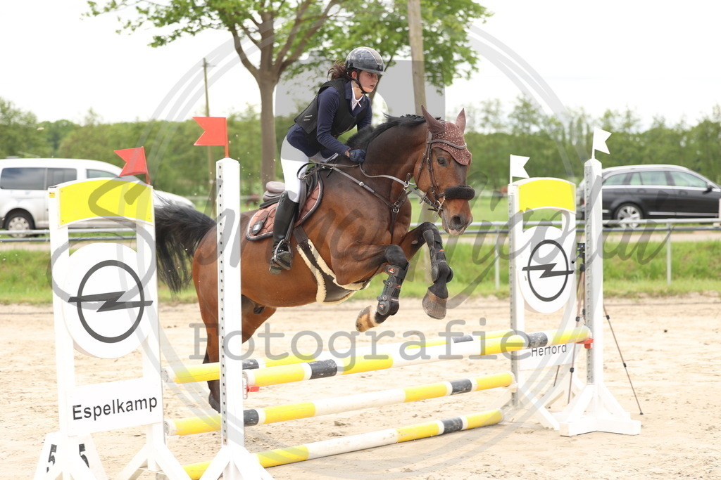 994A8884 | sabrinanicolaifotografie - Realisiert mit Pictrs.com