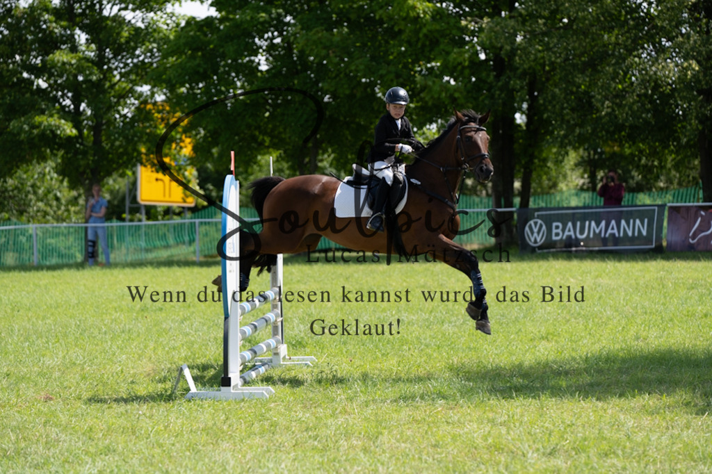 A7V04286 | Turnier/Reitfotograf