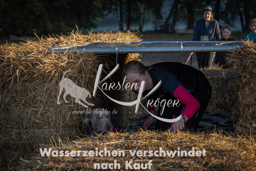 0908_ZZ91562 | kk-dogfotos